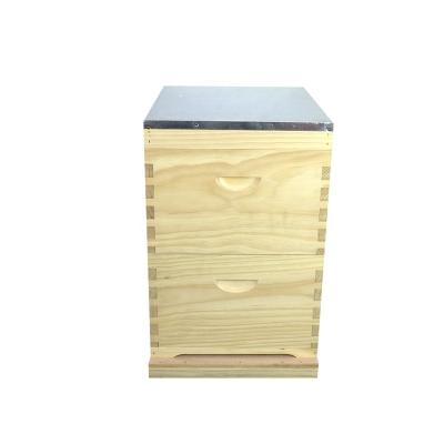 China Cultivate Australian Hive Bee Hive 10 Wooden Frames For Beekeeping for sale