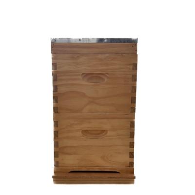 China Farms Australian 8 Frames Bee Hive Box Beekeeping Langstroth Hive for sale