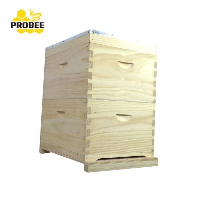 China Australia Beehive 8 Frames Hive Farms Beekeeping 2 Layers for sale