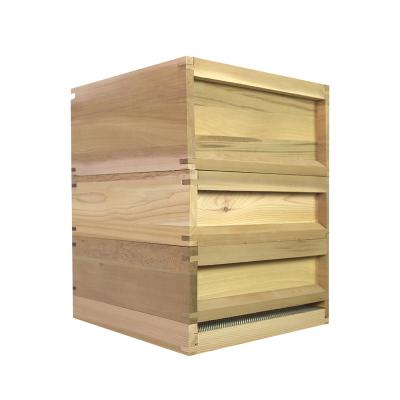 China Cultivate Beehive National Beekeeping Beekeeping Wooden Boxes for sale