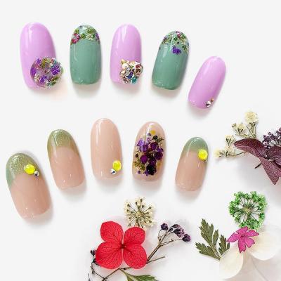 China Hot New 2020 Nail Art 2020 3D Flowers Pressed Supplies Japanese New Design Dried Flower Nail Art for sale