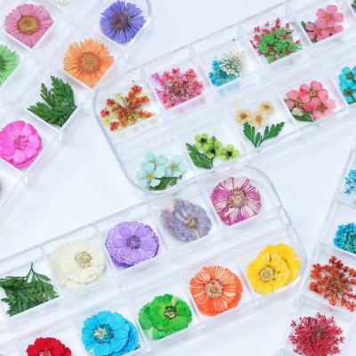 China New Nail Art 2020 Designs Art Decorations Flower Dried Flowers Dry For Nails Pressed Wholesale Nail Supplies for sale