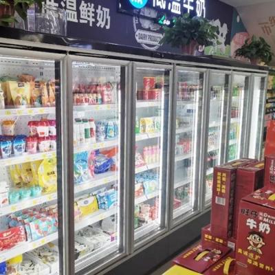 China Single-temperature Air Cooling Cold Display Cabinet Drink Freezer Beer Freezer for sale