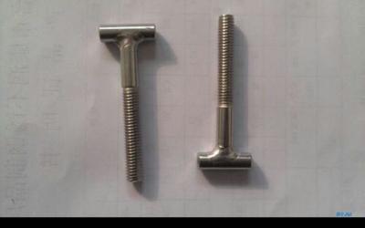 China T-BOLT C45 cold forging process T bolts Fe/Zn-Fe8P4 automobile industry  accessories for sale