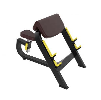 China Commercial Gym Equipment Bodybuilding Preacher Loop Weight Bench Modern Fitness Plywood Box Steel Q235 for sale