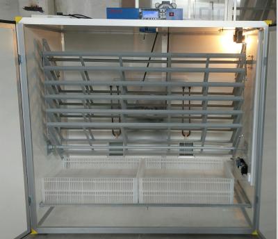 China Pheasant Incubator 2000 Eggs for sale