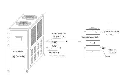 Cina 70.4kw Chick Poultry Hatchery Equipment Water che cova refrigeratore in vendita