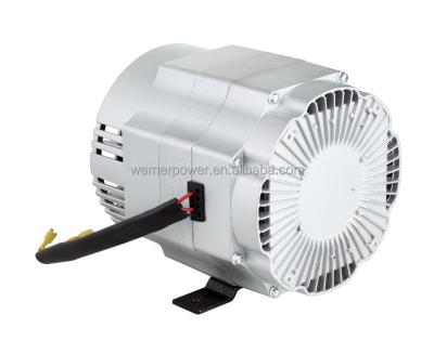 China high quality 2.8kw inverter alternator with pmg for gasoline engine W5300ID for sale