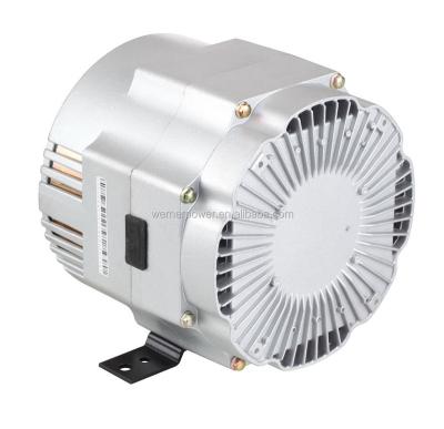 China High quality affordable 2.8kw inverter alternator with pmg W5300ID for sale