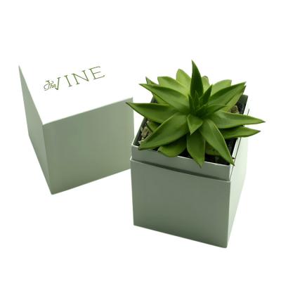 Chine Boîte de empaquetage succulente de boîte-cadeau succulent de planteur imprimée par coutume à vendre