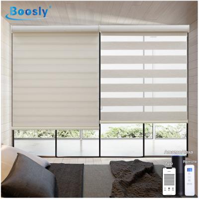 China Luxury Customized Romantic Size Motor Zebra Window Blind For Living Room Remote Control Shutter Zebra Shade for sale