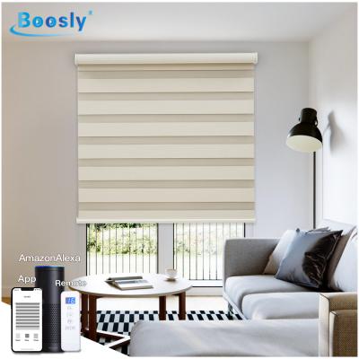 China China Factory Popular Day And Night Zebra Blind Shade UV Protection Shade For Living Room Electric Remote Control Blind Motor 100%polyester for sale