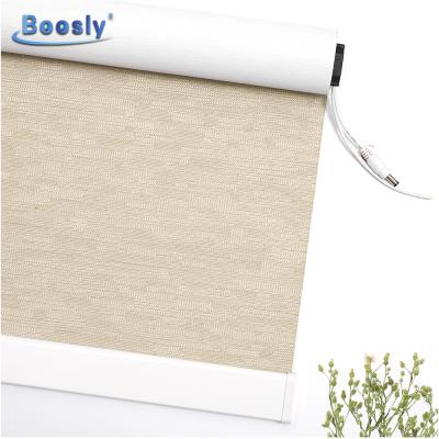 China Eco-friendly Manufacturer Wifi Battery Motor Remote Control Automatic Electric Smart Window Motorized Roller Blinds For Window for sale