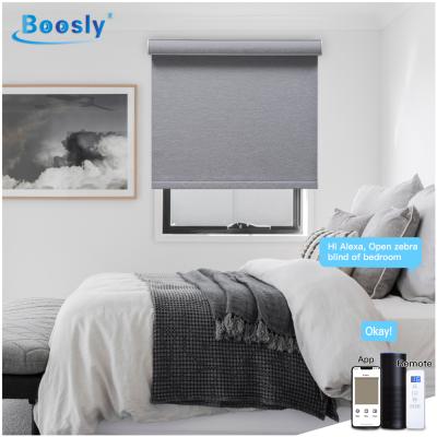 China Waterproof China Factory Customized Size Motorized Window Blinds Electric Roller Shade Blinds Window Shade for sale