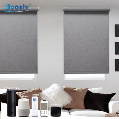 China Minimalist Hotel Office Shade Roller Motor Window Blackout Remote Control Smart Electric Roller Shades for sale