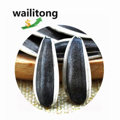 China Sunflower Seeds Wailitong New Crop 361 363 601 5009 3638 Sunflower Seed Raw Dry White Sunflower Seed Kernel Black Stripe for sale