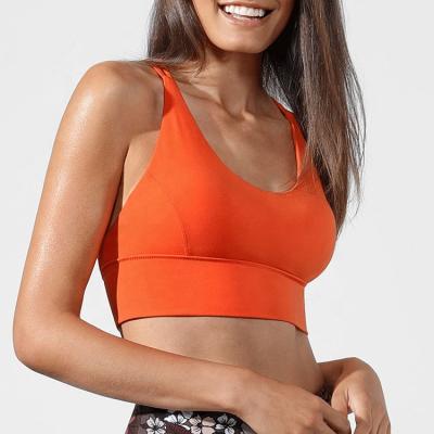 China Fashion Fitness Bra Tops Women Yoga Gym Sports Breathable Elastic Bra Crop Top Sportswear Lift Up Shockproof Tops for sale