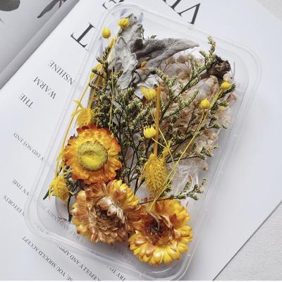 China Artificial Dry Flowers And Plants In Box Personalized Instagram Hot Natural Dry Flower Nordic Bouquet For Home Decoration for sale