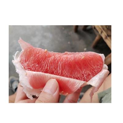 China Fresh Fresh Mandarin Grapefruit Tangerine Fresh Fruit Tree Grapefruit Spoon Red Grapefruit Powder for sale