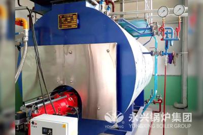 China Liquefied Petroleum Gas Fired Steam Boilers 6tph Stainless Steel Boiler Shell for Rice Mill for sale