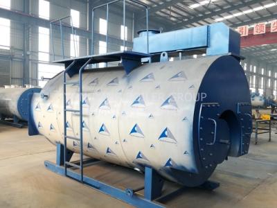 China PLC Control Industrial Gas Fired Steam Boilers , Natural Gas Boiler For Palm Oil Mill for sale