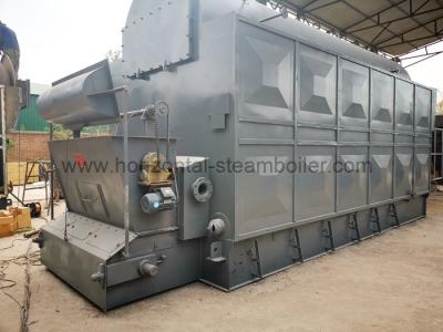 China Hot Biomass Briquette Fuel Boiler Industrial Biomass Chain Grate Steam Boiler for sale