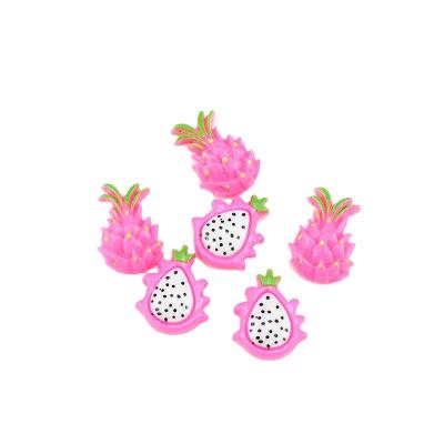 China Fashion DIY Fruit Patch Pitaya Resin Accessories Mud Filling Material Fridge Magnet Accessories Wholesale for sale