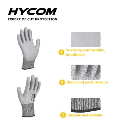 China Cut Resistant Glove Hycom Safety Glove, Food Grade Safety Cutting Gloves, Level 5 Protection for sale