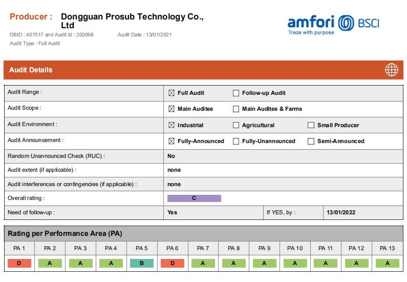 BSCI - Dongguan Prosub Technology Co., Ltd.