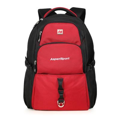 China With USB Aspensport Laptop Backpack Wholesale Fit For College Student Waterproof Rucksack Man Bookbag To Notebook 15.6inch for sale