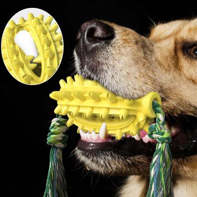 China High Quality Viable Widely Used Cactus Dog Toy With Rope Pet Chew Toy for sale