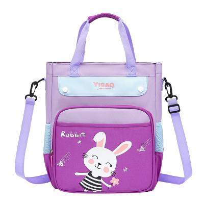 China Single and Double Shoulder Strap Polyester Waterproof Waterproof Student Bag for sale