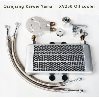 China Motorcycle Qianjiang Kaiwei 250 Lifan V250 Tianwang xv125-250 Oil Cooling Radiator OEM Standard Size for sale