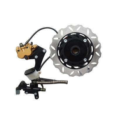 China Motorcycle Update Rear Disc Brake System Rear Wheel Hydraulic Brake Kit 160mm Motorcycle for sale