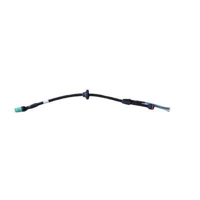 China Custom Pitch Automotive Cable Assembly Wire Harness Assembly 200mm 2.0mm OEM Electric Automotive Cable Assembly for sale