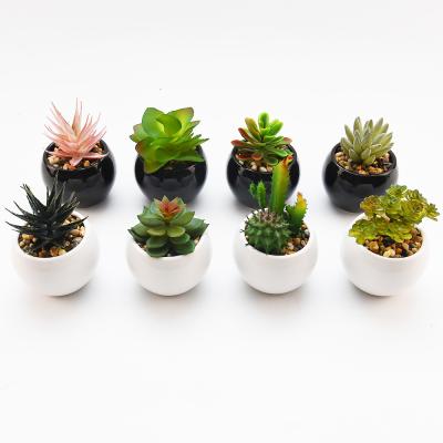 China Minimalist Wholesale Succulents With Ceramic Flower Pots And Frames Desktop Plastic Artificial Plant Around Shape Desktop Cute Plants for sale