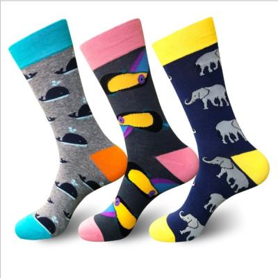 China High Quality Sustainable Compression Socks Mens Male Winter Socks for sale