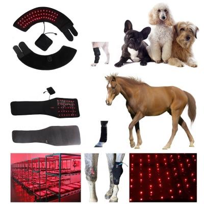 China Therapy red light therapy for horses red light therapy for human for sale