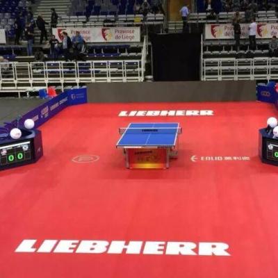 China Enlio 2021 Eco Friendly ITTF Approved Table Tennis Court Mat PVC Sports Flooring Y-14170S for sale