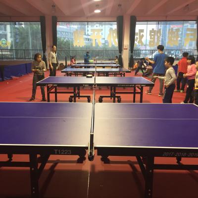 China Table tenns Asia table tennis championship using table tennis court mat fire proof for sale