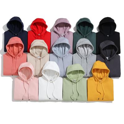 China Diy Anti-wrinkle OEM Style New Multicolor Lightweight Terry Cloth Oversized Hoodie For Adult for sale