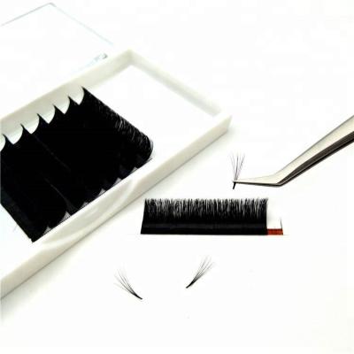 China Natural Professional Long Volume Easy Fans Fanning Eyelash Extension Supplies for sale