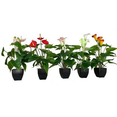 China Indoor Decoration Artificial Calla Latex Anthure Potted Green Potted Lily Bonsai Table Plants For for sale