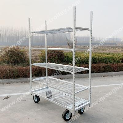 China Agricultural Storage Flower Cart Greenhouse Cart DC Cart Trolley Cart for sale