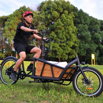 China Hot Selling Aluminum Alloy 36v 250watt Electric Bike, New Design 26inch Tire Cargo Bike Electric Bicycle For Family With Dual Battery for sale