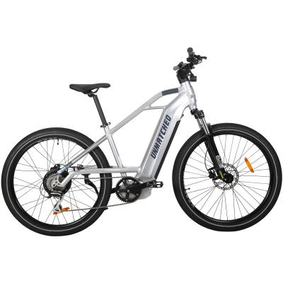 China New model aluminum alloy frame ebike 350w motor with rear blue racket display 20Ah hidden battery color tooth mountain electric bicycle for sale