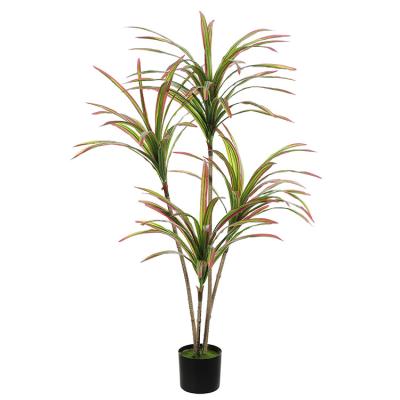 China The environment-friendly red 145CM simulation of Dracaena plant green 4 the white side in several directions Dragon Whisker for sale