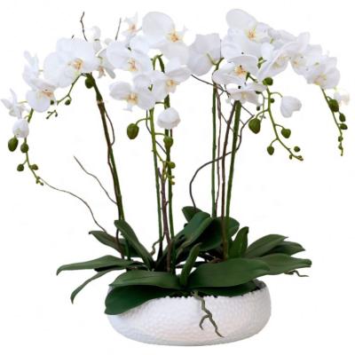 China Latest Real Silk Coth Orchid Touch Orchid Flower Bonsai Phalaenopsis Orchid Plant Latex Layout Orchid Real Ceramic Pot With Artificial Flowerpot Flower for sale