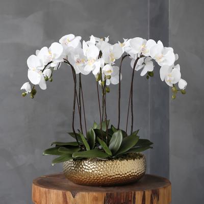 China Silk Fabric 3 6 Branch Phalaenopsis Pot White Vials Plant Acritical Silk Leaves Flowers Orchid For Sale Artificial Latex for sale