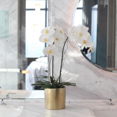 China Wholesale White Silk Fabric Thailand Latex Sheet Cut Phalaenopsis Silk Plants Real Touch Butterfly Artificial Orchids Flowers for sale